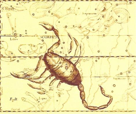 scorpion-zodiac-jaune.jpg